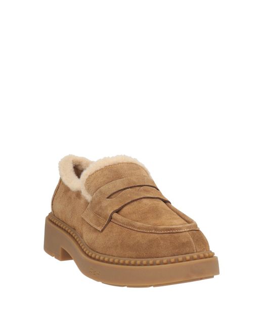Ash Brown Loafer