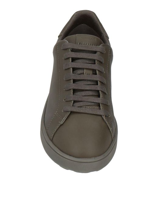 Geox Brown Trainers