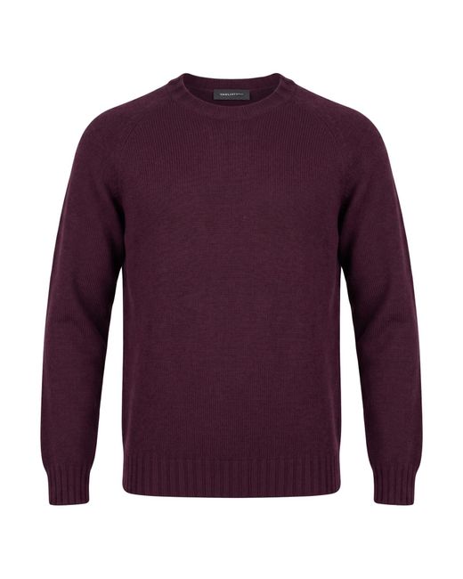 Pullover Tagliatore de hombre de color Purple