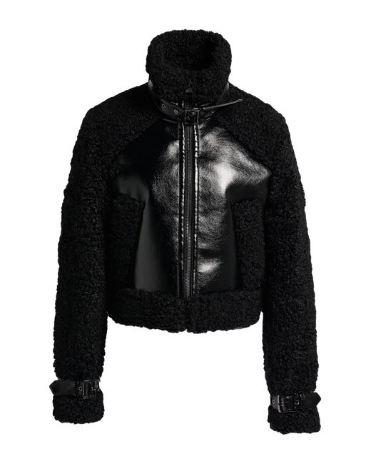 Karl Lagerfeld Black Shearling & Teddy
