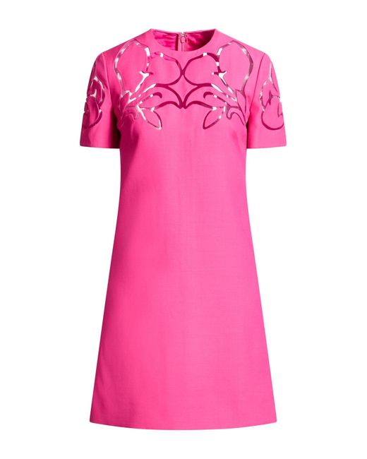 Valentino Garavani Pink Mini Dresses