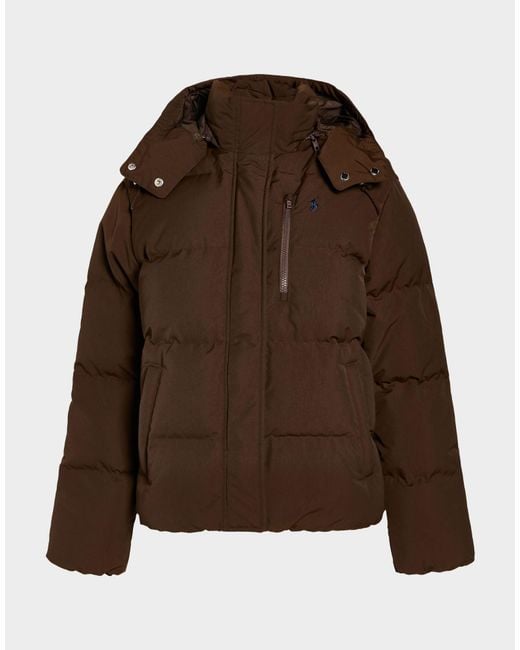Polo Ralph Lauren Brown Puffer