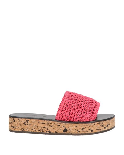 Ancient Greek Sandals Pink Sandals