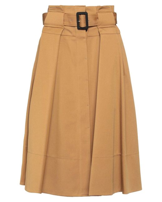 Proenza Schouler Natural Midi Skirt