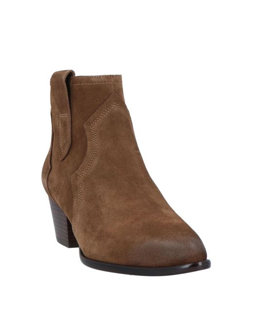 Ash Brown Ankle Boots
