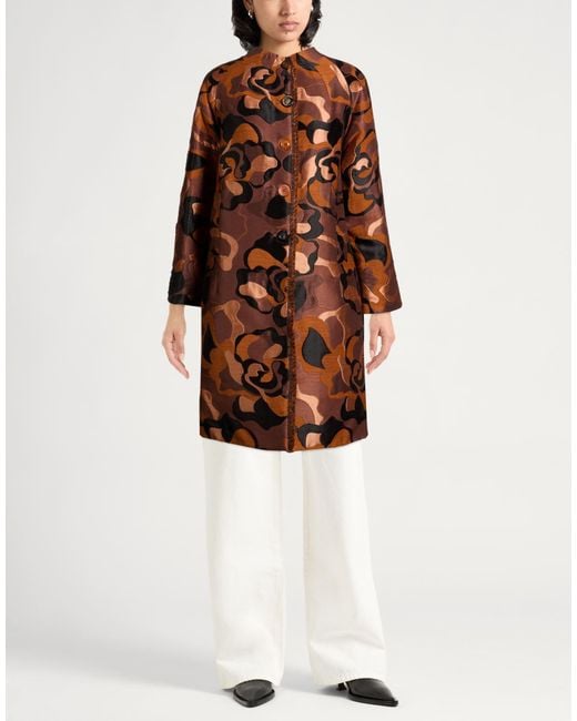 Maliparmi Brown Coats