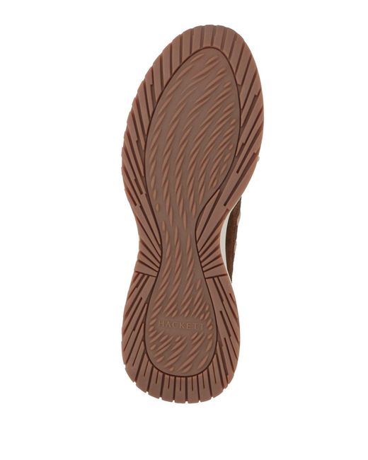 Hackett Brown Trainers for men