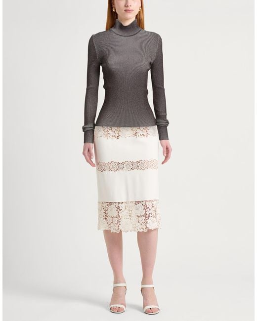 Alberta Ferretti Gray Turtleneck
