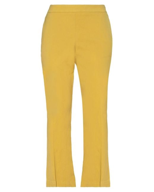 Maliparmi Yellow Trouser