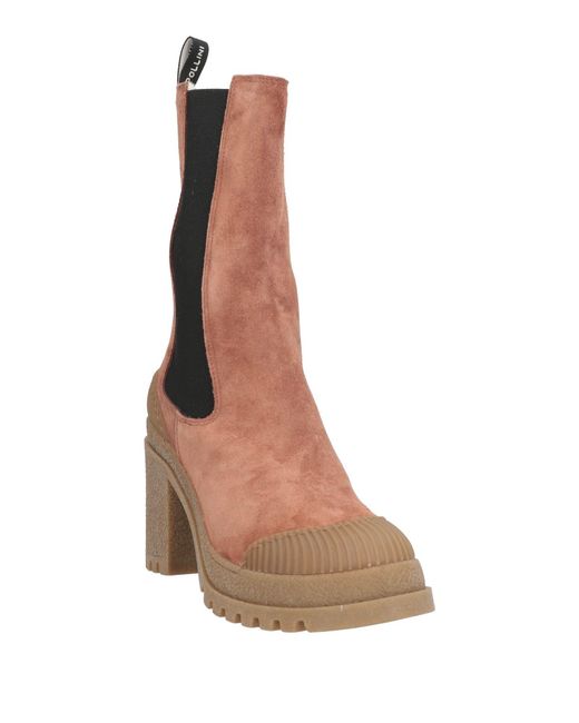 Pollini Brown Ankle Boots