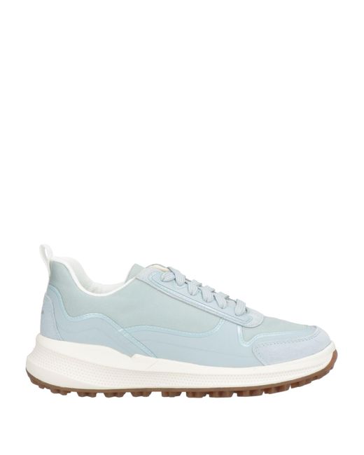 Geox White Trainers