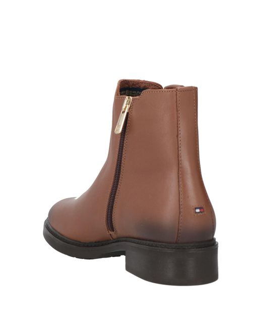 Tommy Hilfiger Brown Ankle Boots