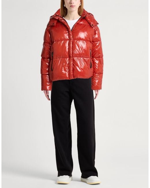 Canadian Red Puffer