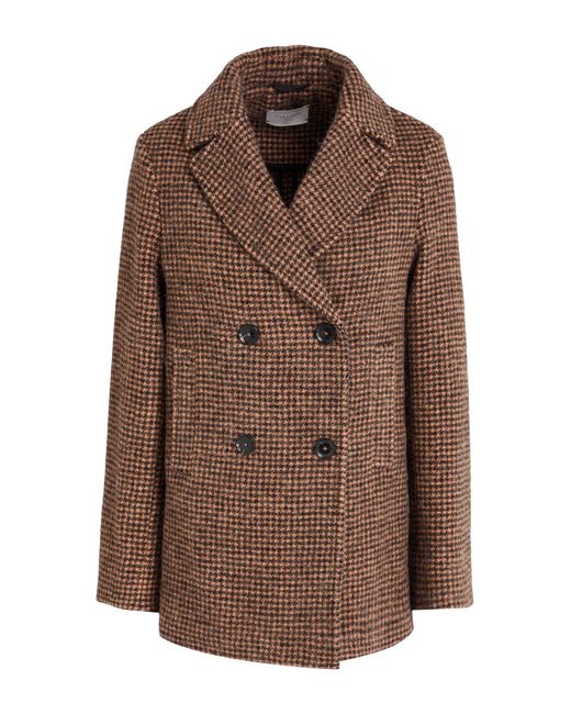 Circolo 1901 Brown Coat Virgin Wool, Alpaca Wool