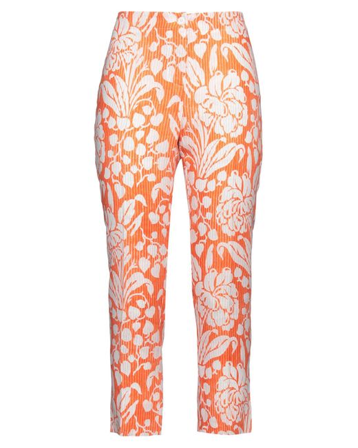 Pantalone di Amina Rubinacci in Orange