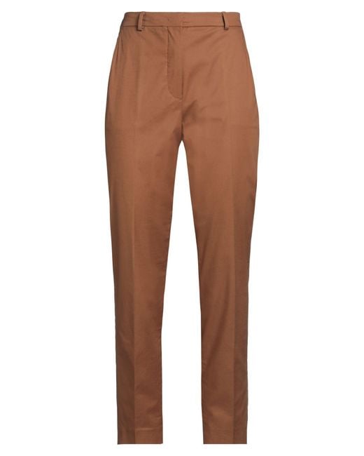 Incotex Brown Pants Cotton, Elastane