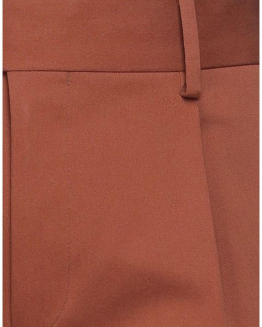 People Brown Pants Cotton, Elastane for men