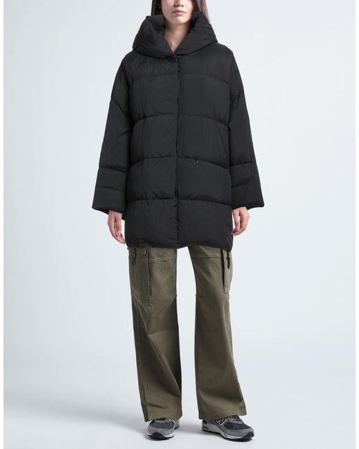 DUNO Black Puffers