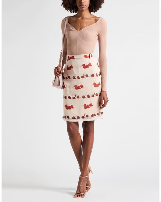 N°21 Pink Sand Midi Skirt Silk, Polyamide
