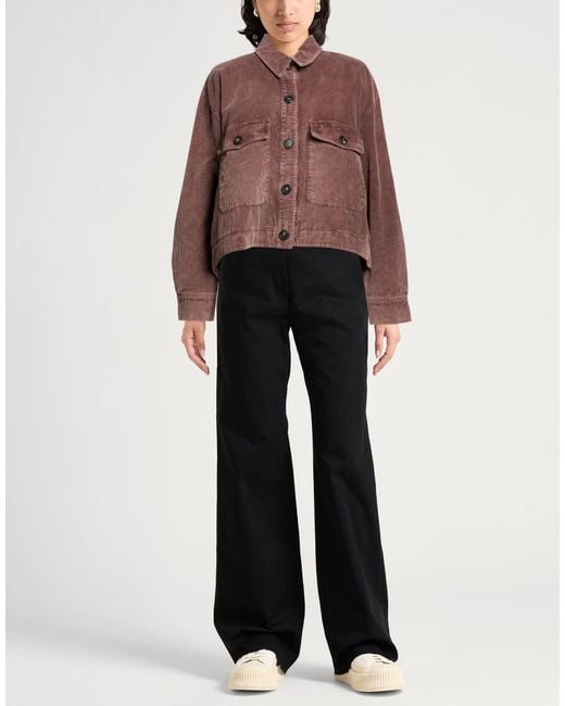 Crossley Brown Jacket Cotton
