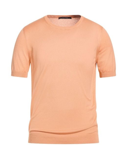 Tagliatore Pink Sweaters for men