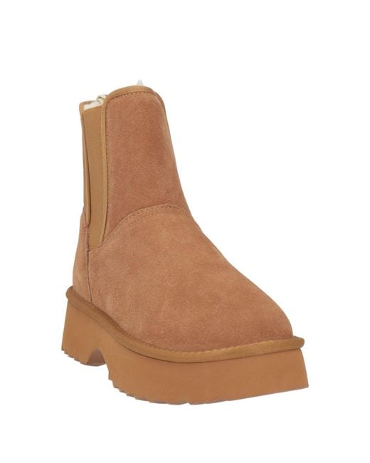 Liu Jo Brown Ankle Boots