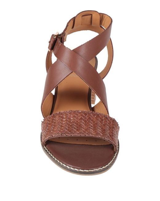 Geox Brown Sandals