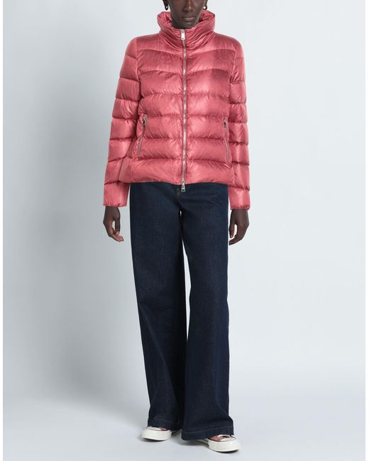 Jan Mayen Red Puffer