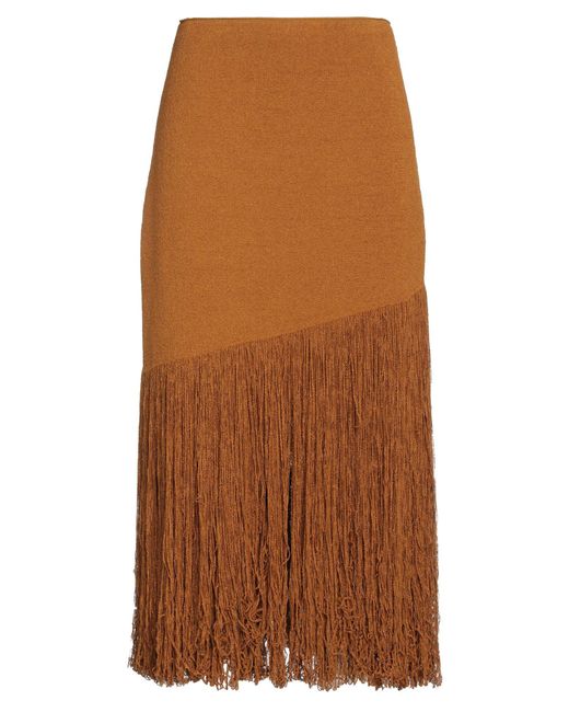 Proenza Schouler Brown Midi Skirt