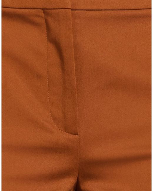 Max Mara Brown Trouser