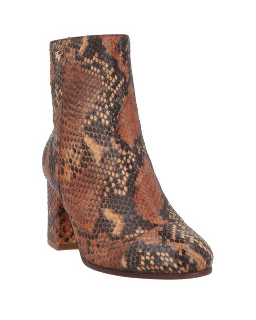 Stivaletti di Zadig & Voltaire in Brown