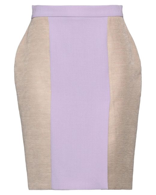 Roksanda Purple Midi Skirt