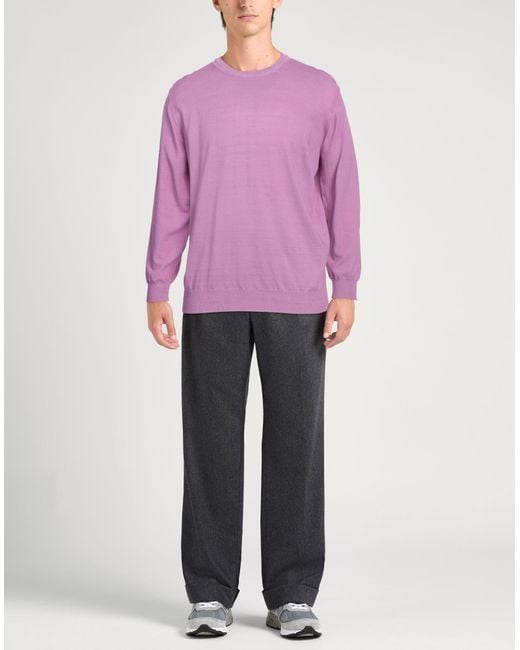 Kangra Purple Sweater Cotton for men
