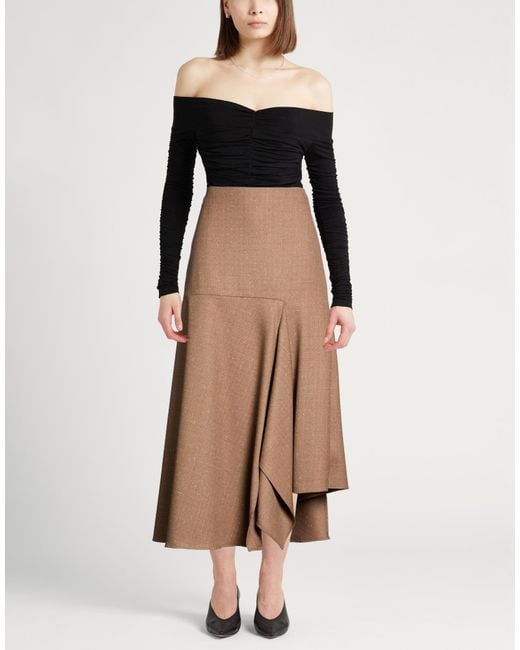 Fabiana Filippi Brown Maxi Skirt Virgin Wool, Silk, Polyester, Polyamide