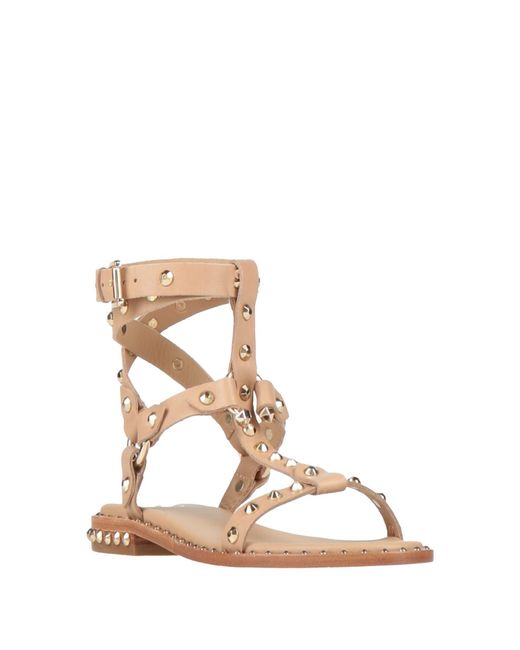 Ash White Sandals