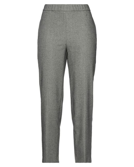 Beatrice B. Gray Pants