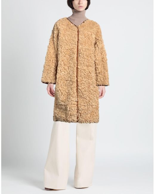 Stand Studio Natural Shearling & Teddy