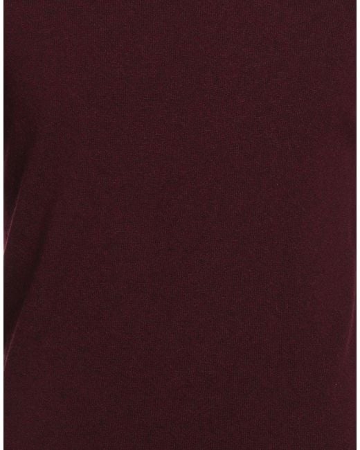 Colmar Purple Jumper for men