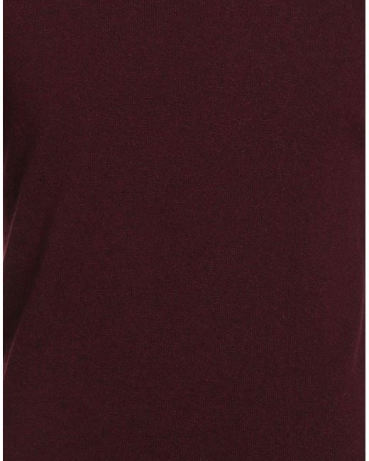 Colmar Purple Jumper for men