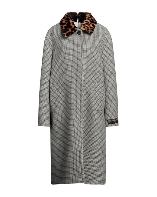 N°21 Gray Coat