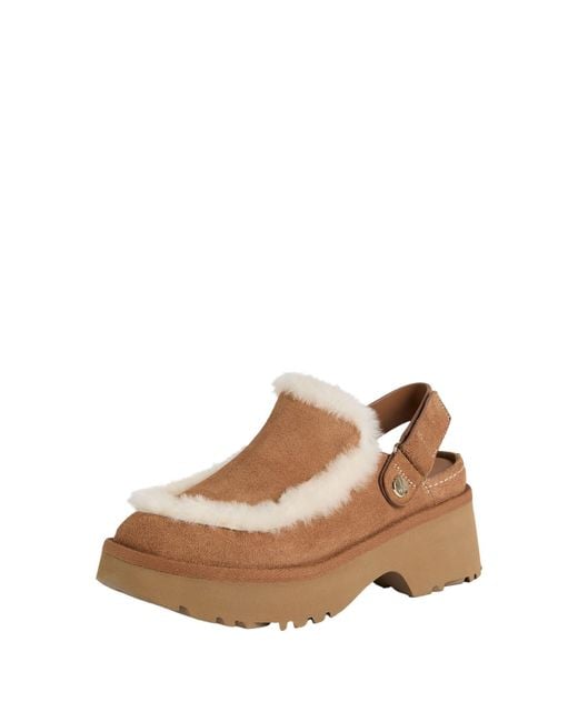 Ugg Brown Mules & Clogs