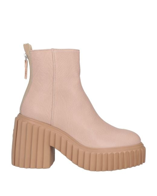 Agl Attilio Giusti Leombruni Natural Ankle Boots