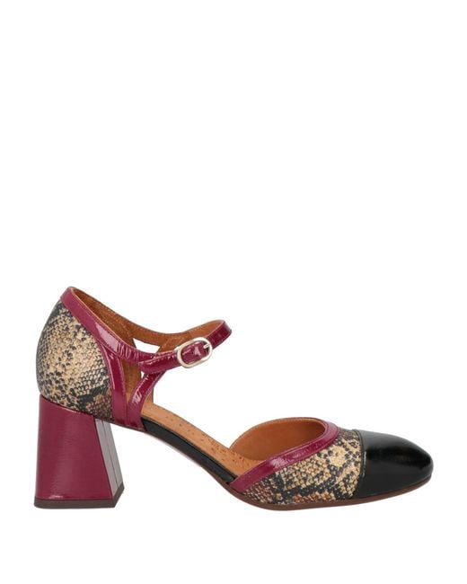 Chie Mihara Brown Pumps Leather
