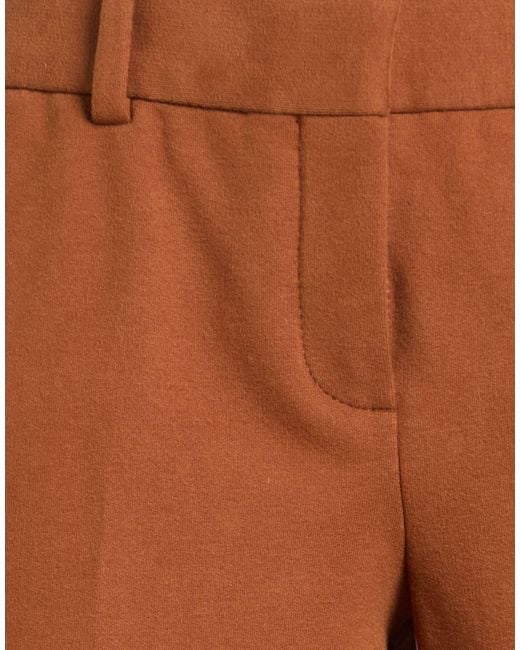 Circolo 1901 Brown Pants