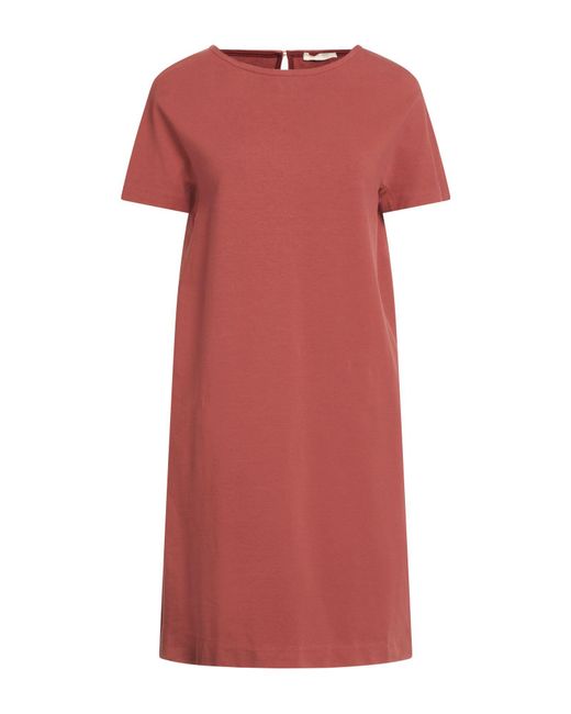 Circolo 1901 Red Mini Dresses