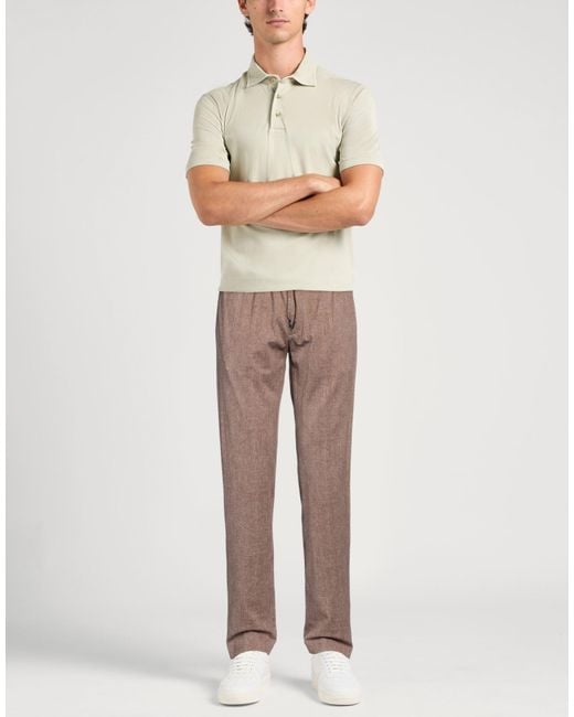Circolo 1901 Brown Pants Cotton, Elastane for men