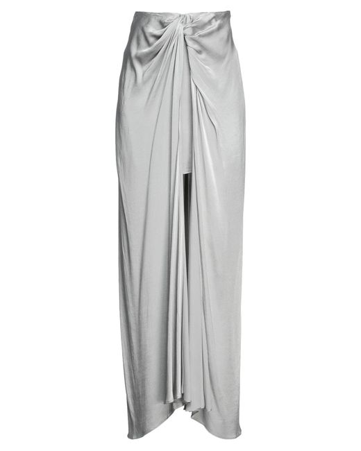 WEILI ZHENG Gray Maxi Skirt