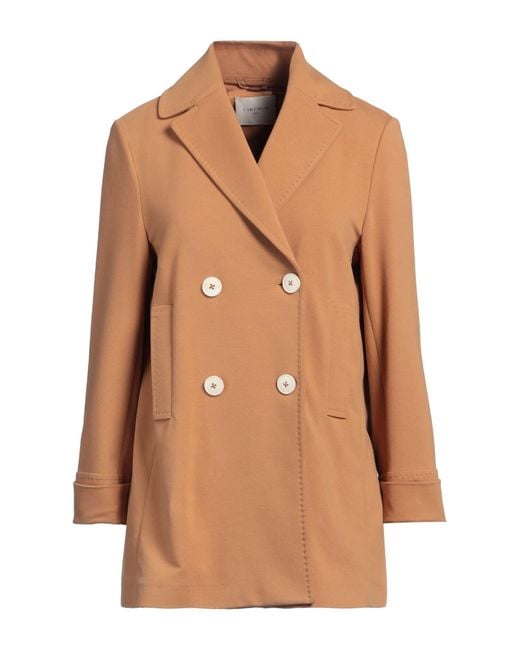Circolo 1901 Brown Double-Breasted French Terry Jacket