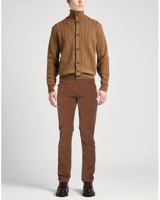 PT Torino Brown Trouser for men