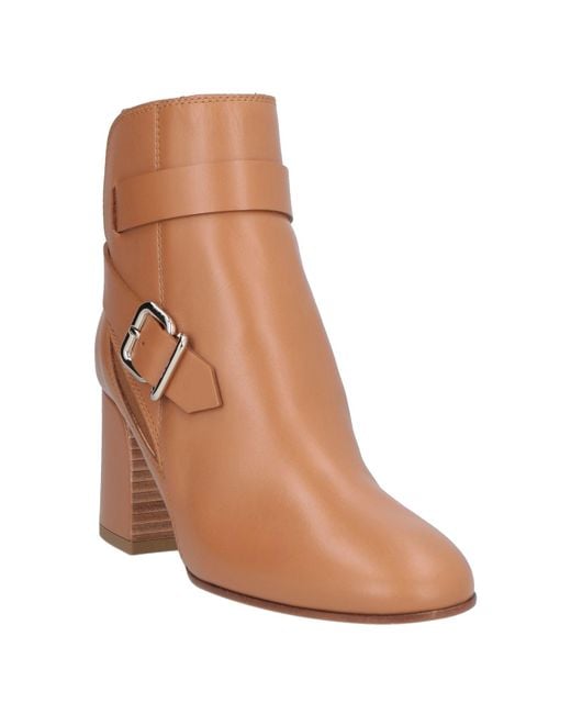 Tod's Brown Ankle Boots